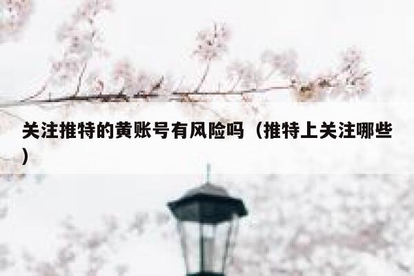 关注推特的黄账号有风险吗(推特上关注哪些) 第1张 关注推特的黄账号有风险吗(推特上关注哪些) 第1张
