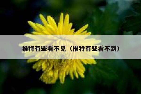 推特有些看不见（推特有些看不到） 第1张