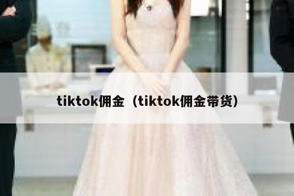 tiktok佣金（tiktok佣金带货） 第1张
