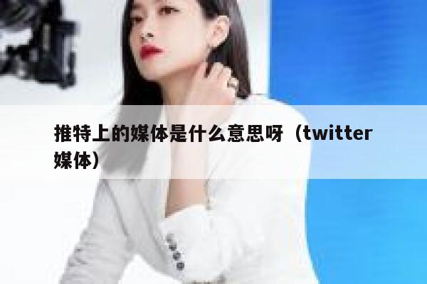 推特上的媒体是什么意思呀（twitter媒体） 第1张