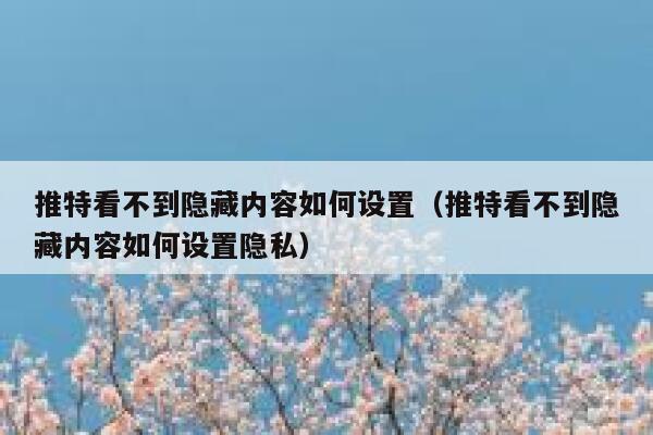 推特看不到隐藏内容如何设置（推特看不到隐藏内容如何设置隐私） 第1张