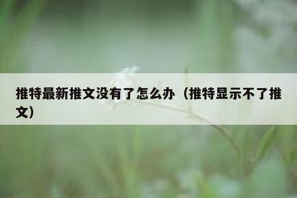 推特最新推文没有了怎么办（推特显示不了推文） 第1张