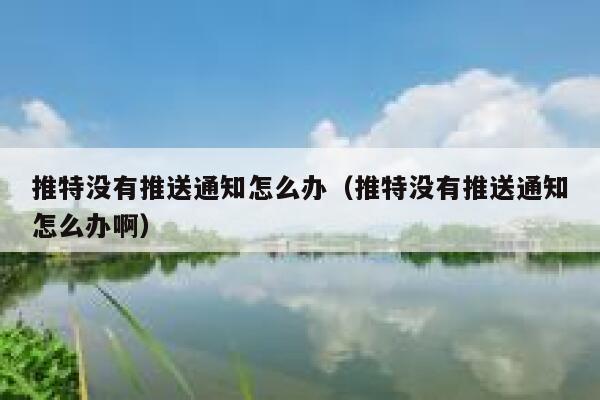 推特没有推送通知怎么办（推特没有推送通知怎么办啊） 第1张