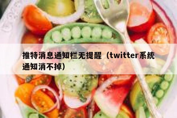 推特消息通知栏无提醒（twitter系统通知消不掉） 第1张