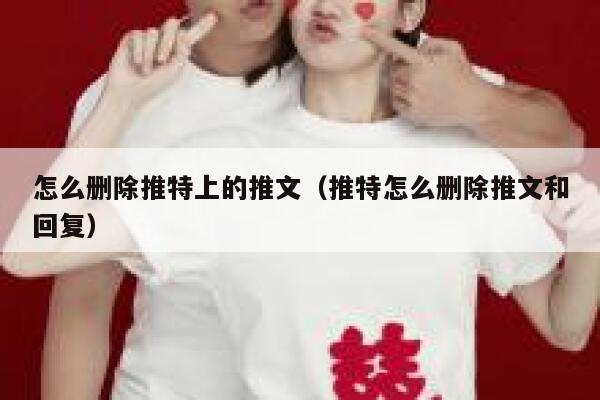 怎么删除推特上的推文（推特怎么删除推文和回复） 第1张