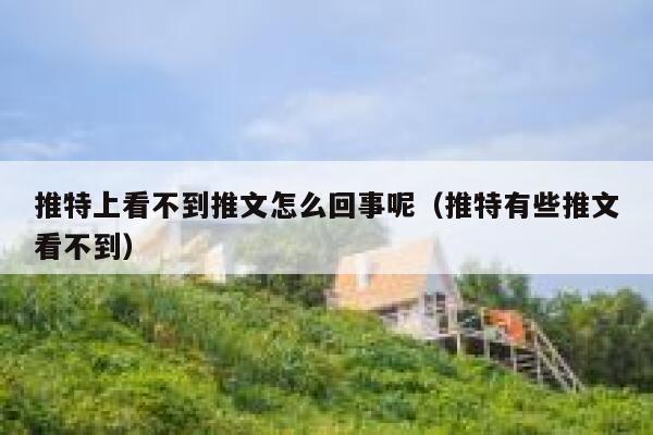 推特上看不到推文怎么回事呢（推特有些推文看不到） 第1张