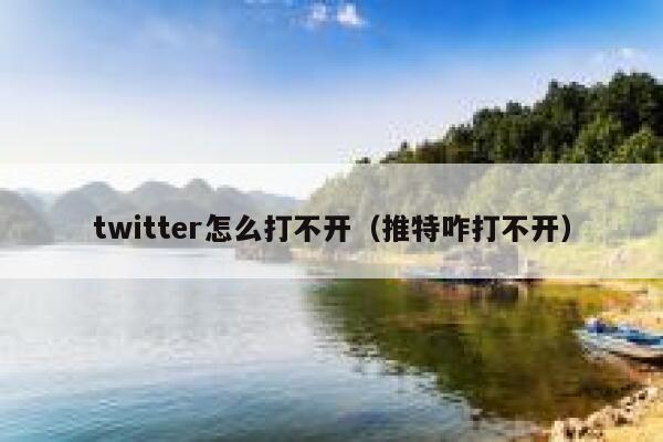 twitter怎么打不开（推特咋打不开） 第1张