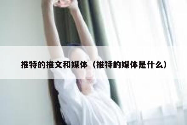 推特的推文和媒体（推特的媒体是什么） 第1张