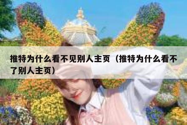 推特为什么看不见别人主页（推特为什么看不了别人主页） 第1张