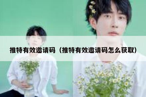 推特有效邀请码（推特有效邀请码怎么获取） 第1张