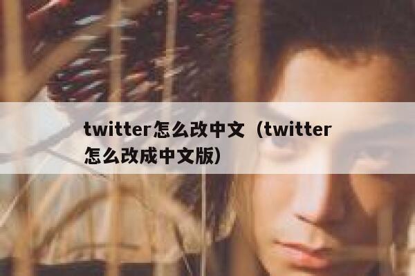 twitter怎么改中文（twitter怎么改成中文版） 第1张