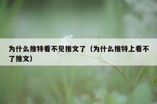 为什么推特看不见推文了（为什么推特上看不了推文） 第1张