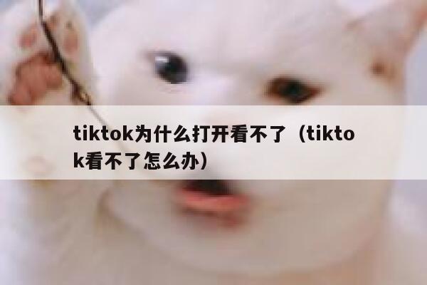 tiktok为什么打开看不了（tiktok看不了怎么办） 第1张