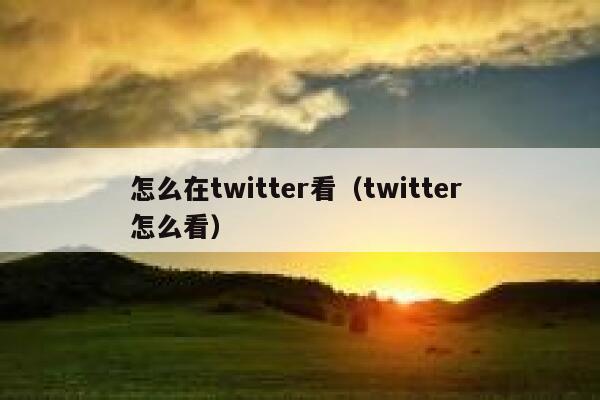 怎么在twitter看（twitter 怎么看） 第1张
