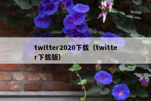 twitter2020下载（twitter下载版） 第1张