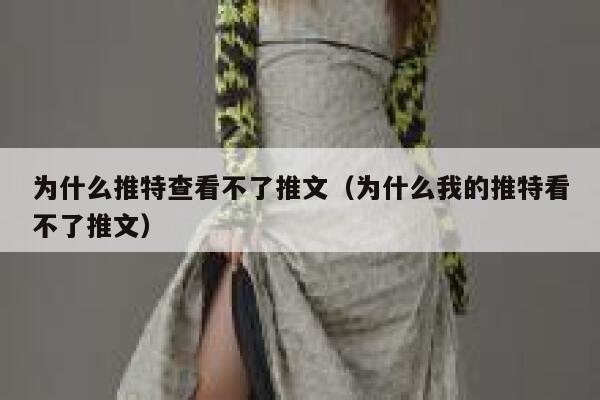 为什么推特查看不了推文（为什么我的推特看不了推文） 第1张