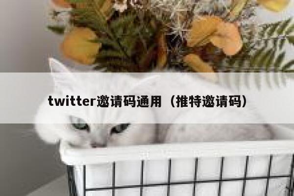 twitter邀请码通用（推特邀请码） 第1张