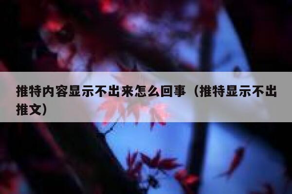 推特内容显示不出来怎么回事（推特显示不出推文） 第1张
