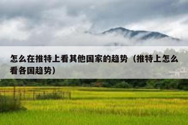 怎么在推特上看其他国家的趋势（推特上怎么看各国趋势） 第1张