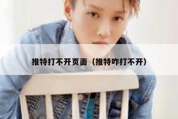 推特打不开页面（推特咋打不开） 第1张