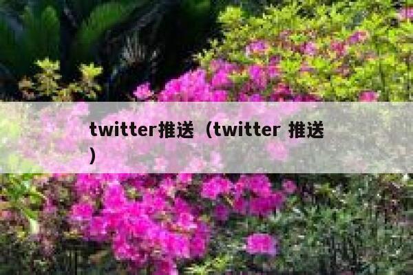 twitter推送（twitter 推送） 第1张