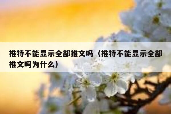 推特不能显示全部推文吗(推特不能显示全部推文吗为什么) 第1张 推特不能显示全部推文吗(推特不能显示全部推文吗为什么) 第1张