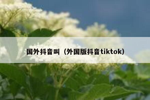 国外抖音叫（外国版抖音tiktok） 第1张