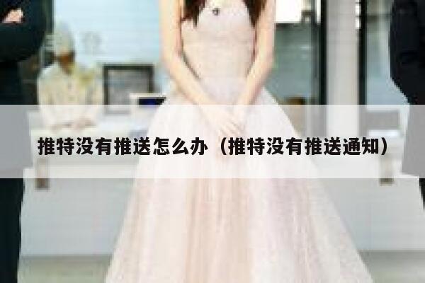 推特没有推送怎么办(推特没有推送通知) 第1张 推特没有推送怎么办(推特没有推送通知) 第1张