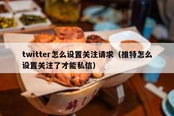 twitter怎么设置关注请求（推特怎么设置关注了才能私信） 第1张