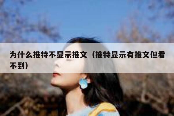 为什么推特不显示推文（推特显示有推文但看不到） 第1张