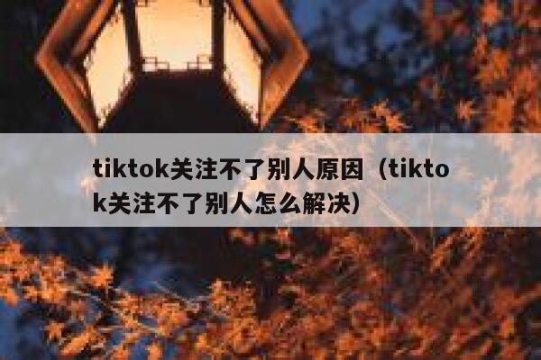 tiktok关注不了别人原因（tiktok关注不了别人怎么解决） 第1张