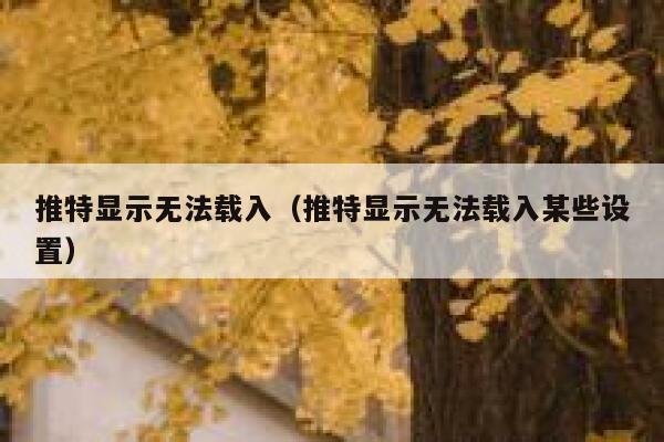 推特显示无法载入（推特显示无法载入某些设置） 第1张