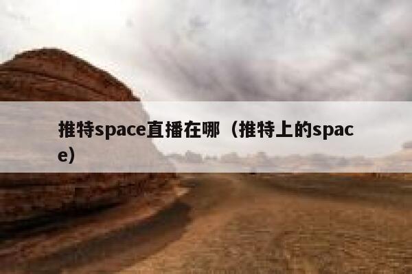 推特space直播在哪（推特上的space） 第1张