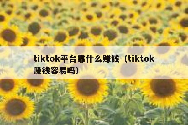 tiktok平台靠什么赚钱（tiktok赚钱容易吗） 第1张