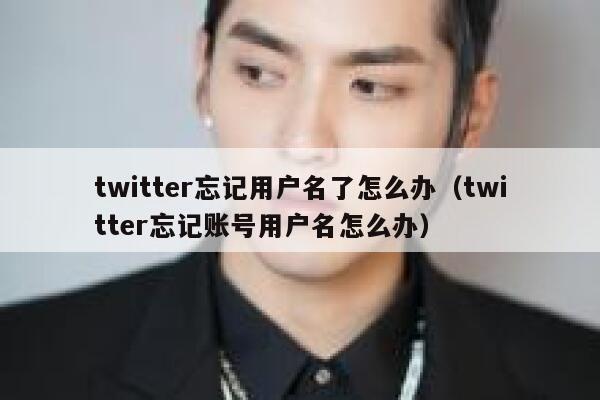 twitter忘记用户名了怎么办（twitter忘记账号用户名怎么办） 第1张