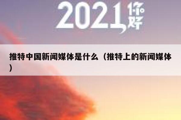 推特中国新闻媒体是什么（推特上的新闻媒体） 第1张