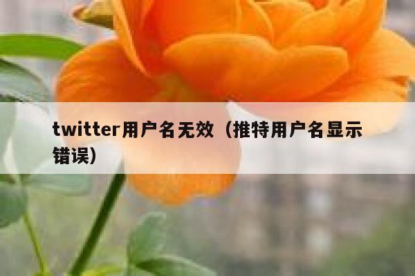 twitter用户名无效（推特用户名显示错误） 第1张