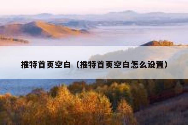 推特首页空白（推特首页空白怎么设置） 第1张