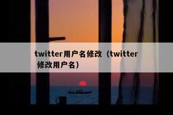 twitter用户名修改（twitter 修改用户名） 第1张