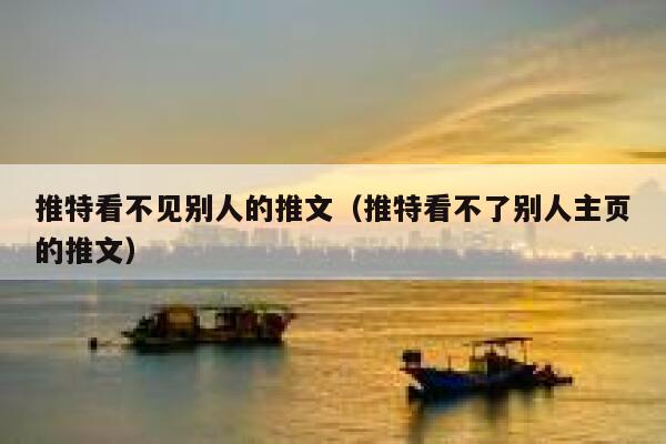 推特看不见别人的推文（推特看不了别人主页的推文） 第1张