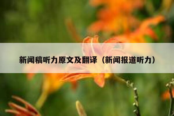 新闻稿听力原文及翻译（新闻报道听力） 第1张