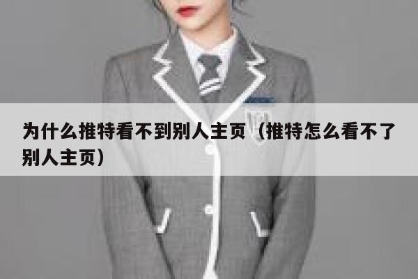 为什么推特看不到别人主页（推特怎么看不了别人主页） 第1张