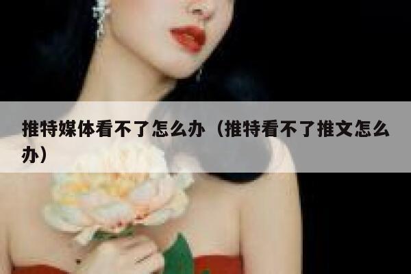 推特媒体看不了怎么办（推特看不了推文怎么办） 第1张