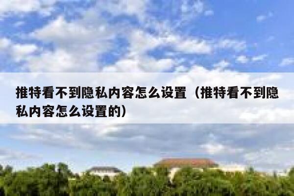 推特看不到隐私内容怎么设置（推特看不到隐私内容怎么设置的） 第1张