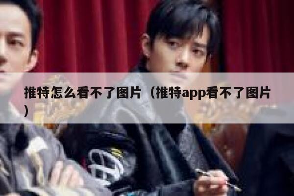 推特怎么看不了图片（推特app看不了图片） 第1张