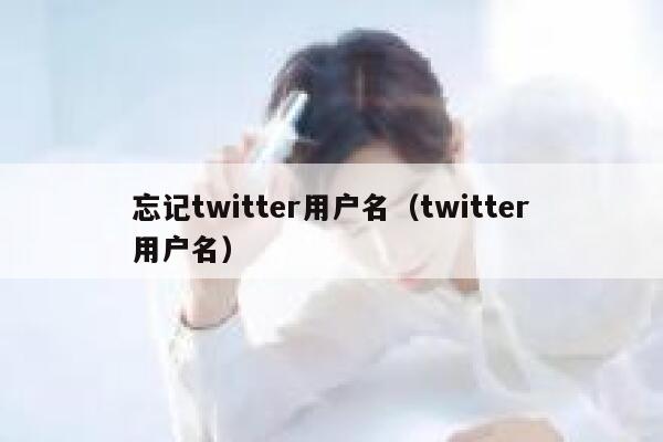 忘记twitter用户名（twitter用户名） 第1张