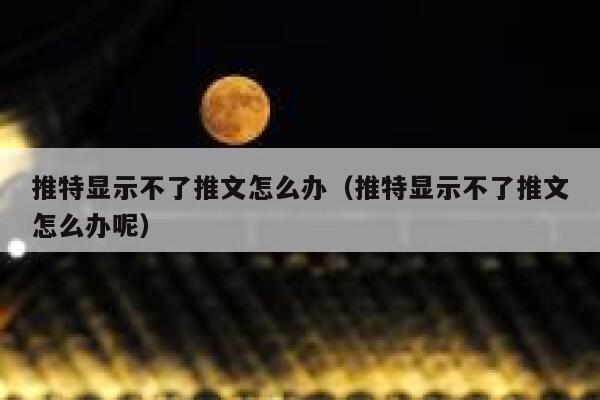 推特显示不了推文怎么办（推特显示不了推文怎么办呢） 第1张