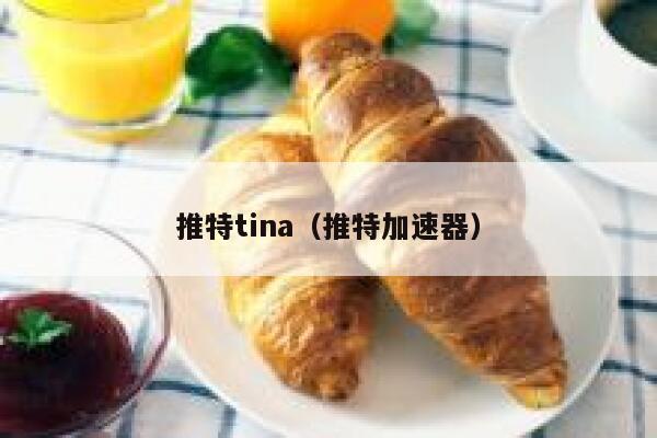 推特tina（推特加速器） 第1张