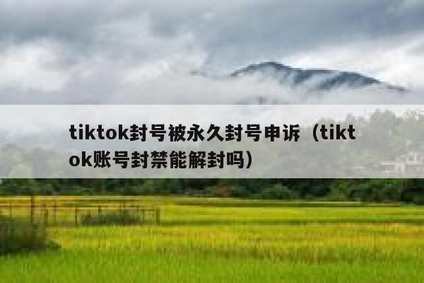 tiktok封号被永久封号申诉（tiktok账号封禁能解封吗） 第1张