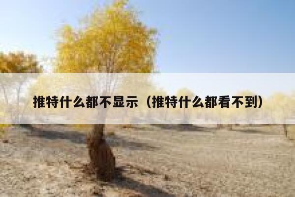 推特什么都不显示（推特什么都看不到） 第1张